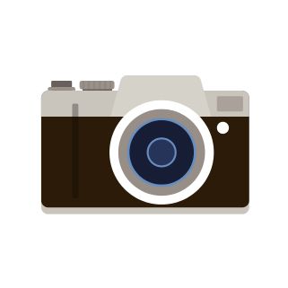 Handheld digital camera