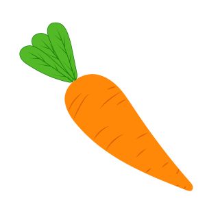 Orange carrot with a green stem