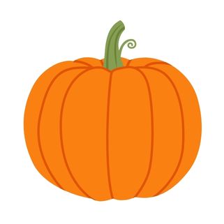 Orange pumpkin with a green stem